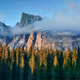 Image for article titled The most inspiring nature photography of the year